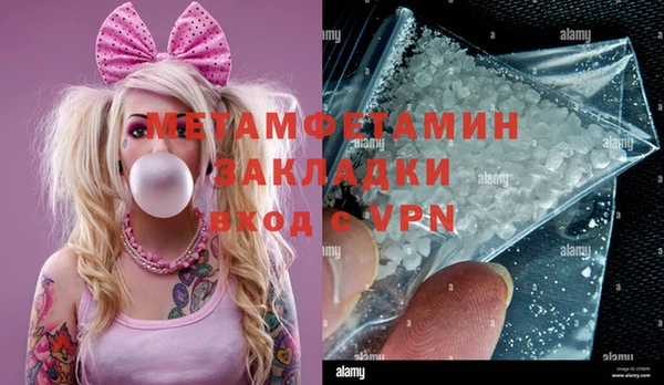 сатива Каменногорск