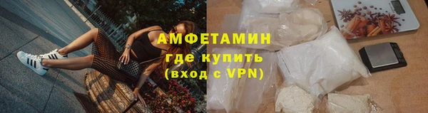сатива Каменногорск