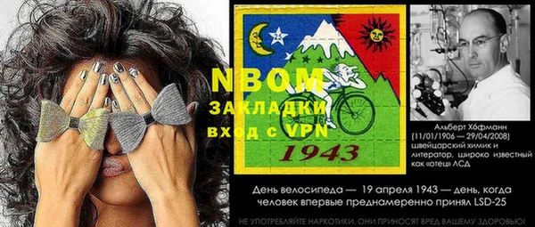 сатива Каменногорск