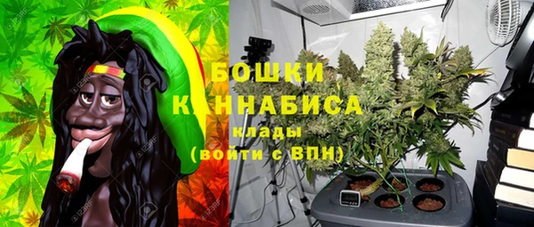 сатива Каменногорск