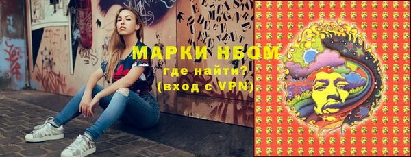 сатива Каменногорск