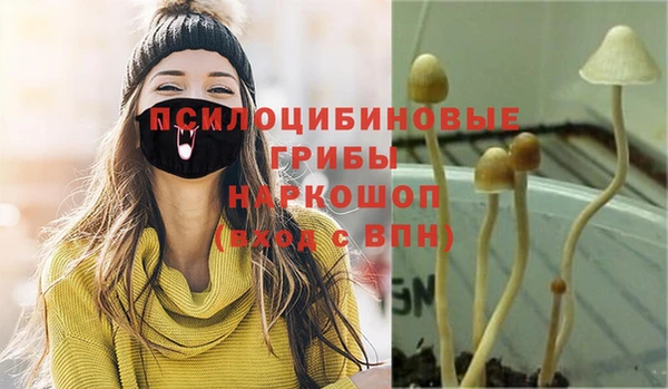 mix Каменка