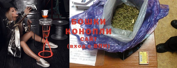 сатива Каменногорск