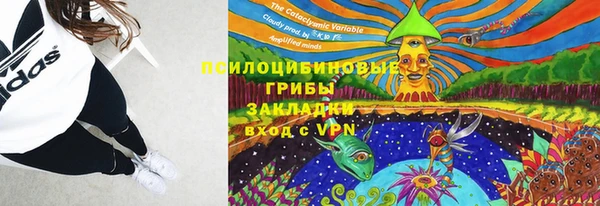 сатива Каменногорск