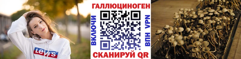 Купить  Льгов  Псилоцибиновые грибы Psilocybine cubensis 